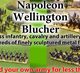 British Horse Artillery 9-Pdr Cannon